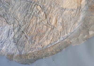 Extrait de PHAGOCYTOSE (90 x94 cm)